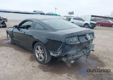 2014 Ford Mustang V6 z USA, uszkodzony, nr VIN 1ZVBP8AM8E5311624
